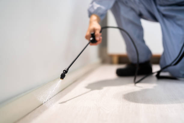 Bed Bug Pre-Treatment Preparation Assessment in New Bremen