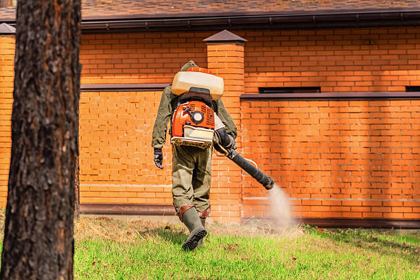 Bed Bug Clearance Verification and Documentation in New Bremen